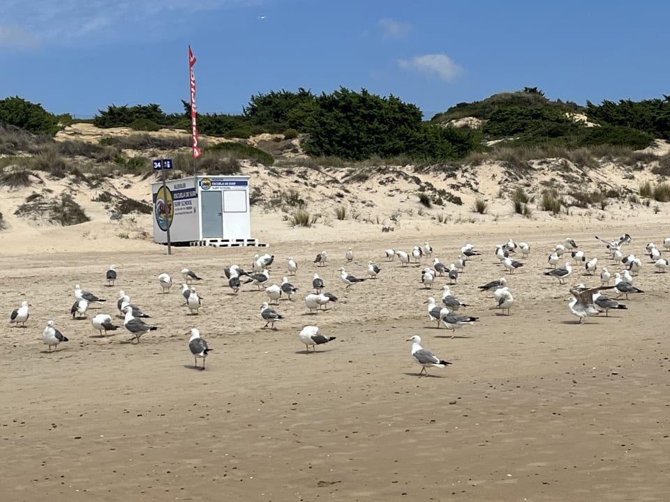 Strand Aldiana Club Andalusien