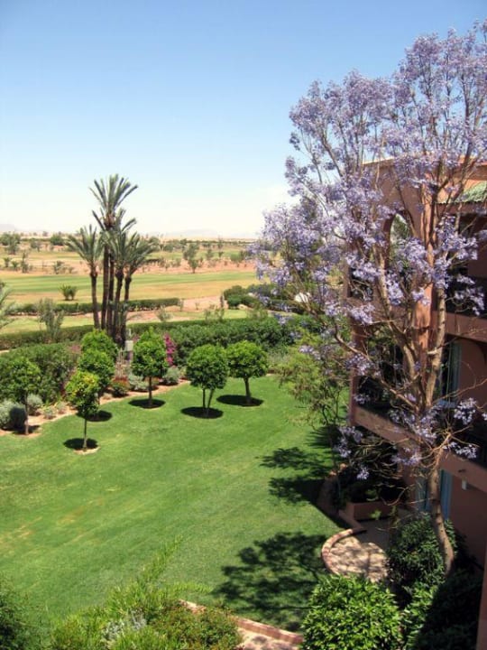 Balkonaussicht Palmeraie Palace