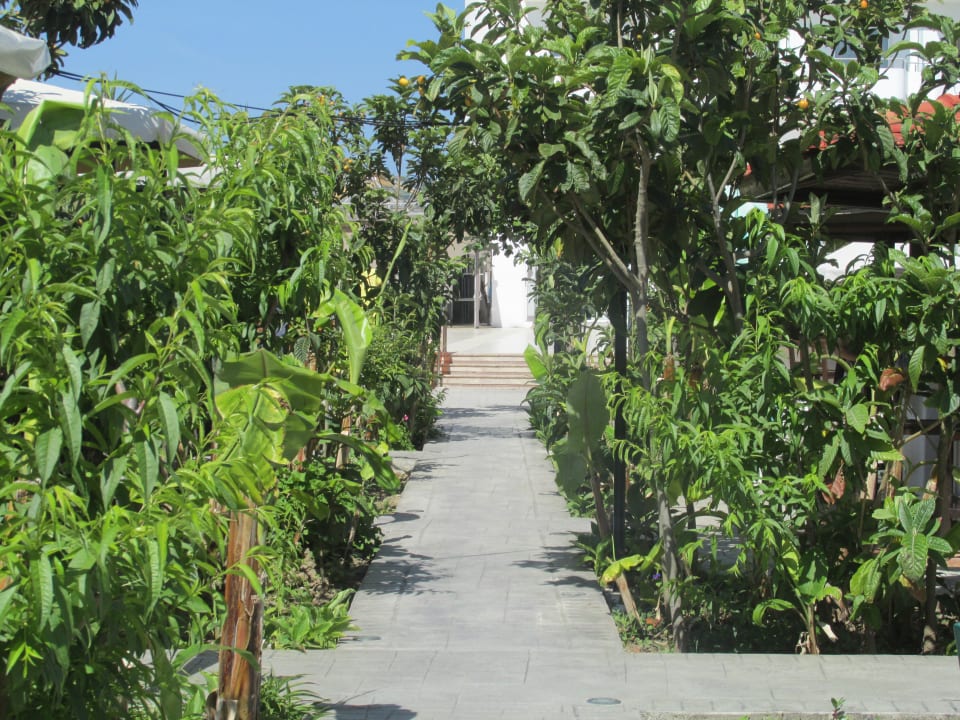 Gartenanlage Irene Palace Beach Resort Club alltoura