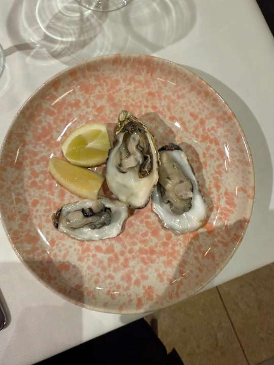 Gastro ROBINSON QUINTA DA RIA