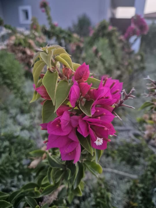 Sonstiges Anemos Luxury Grand Resort