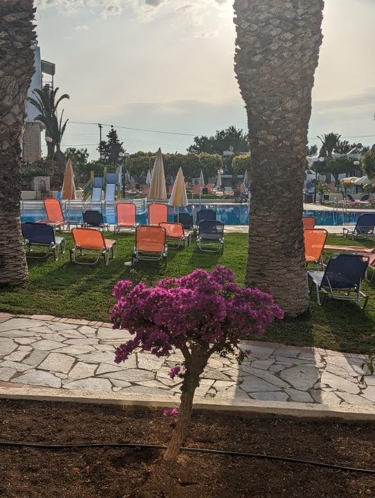 Ausblick TUI SUNEO Chrissi Amoudia