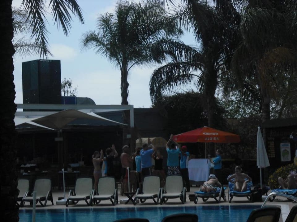 Animation am Pool Side Star Elegance