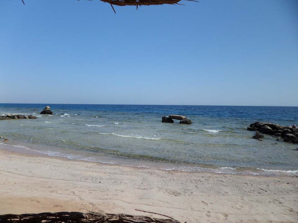 Citadel Azur Pickalbatros Citadel Resort