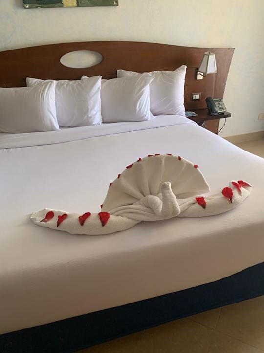 Zimmer Stella Garden Resort & Spa, Makadi Bay