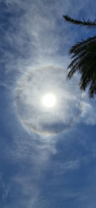 Ausblick Steigenberger Resort Ras Soma