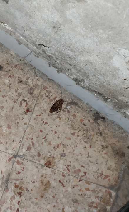 Sonstiges Watching Lisbon Apartments