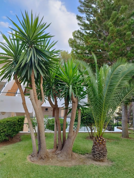 Gartenanlage Valentin Somni Hotel & Suites