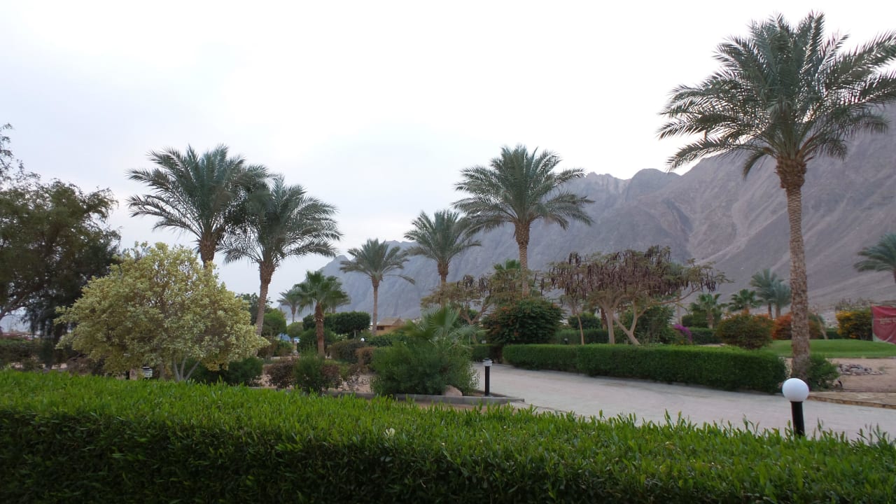 Aussicht aus dem Zimmer Happy Life Village