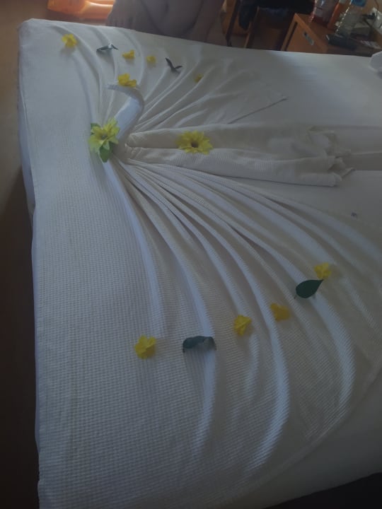 Zimmer Trendy Side Beach Hotel - Adults only