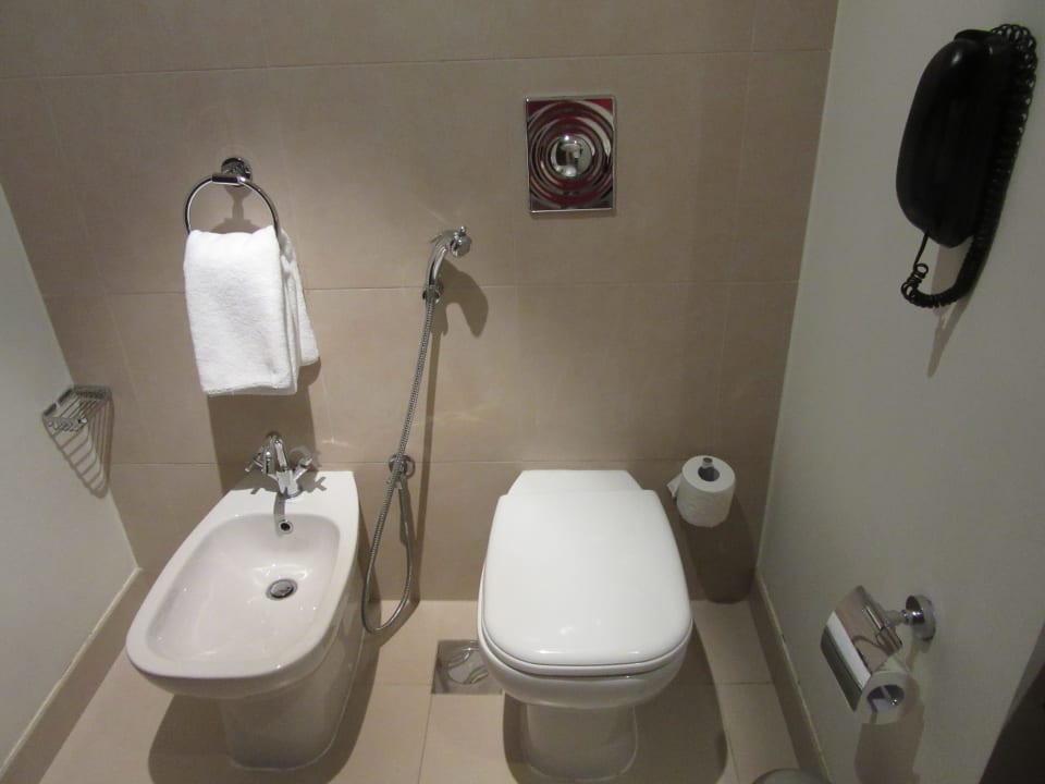 Zimmer Ajman Saray, a Luxury Collection Resort