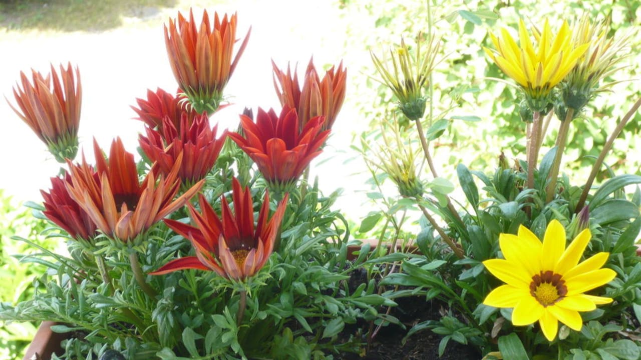 Balkonaussicht Hotel Irene