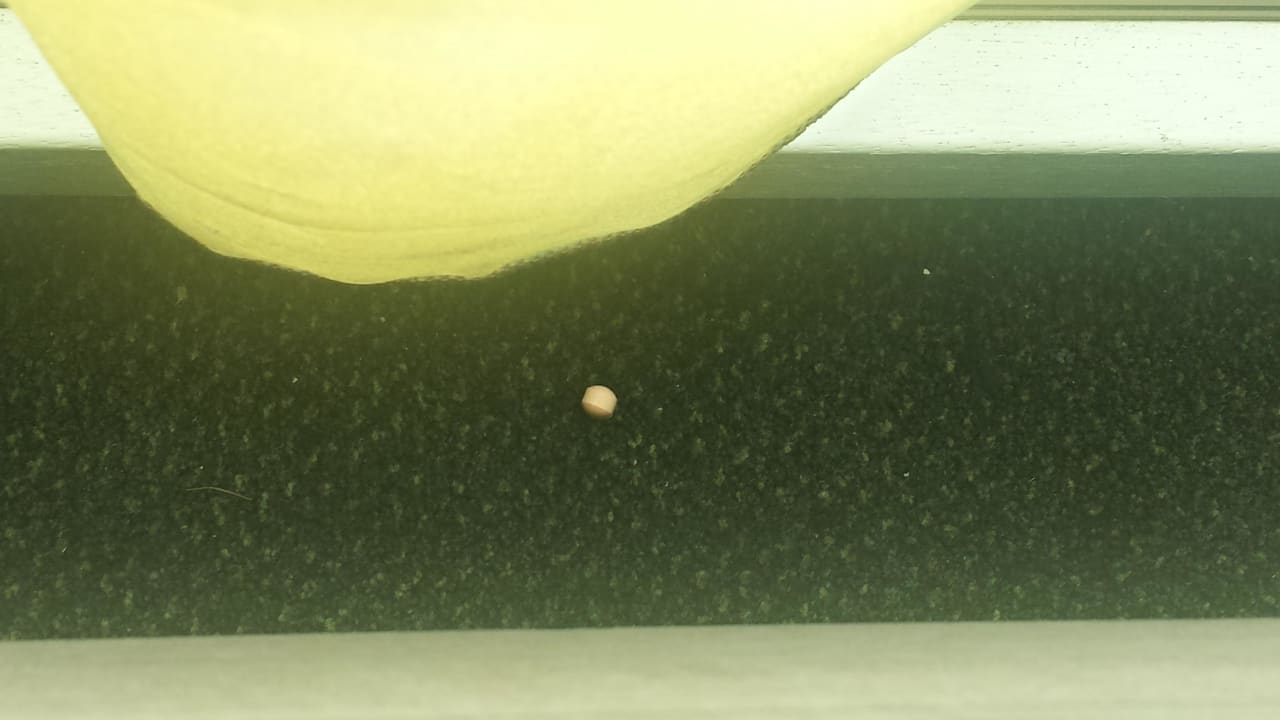 Tablette eines Vorgängers Leonardo Hotel Amsterdam Rembrandtpark