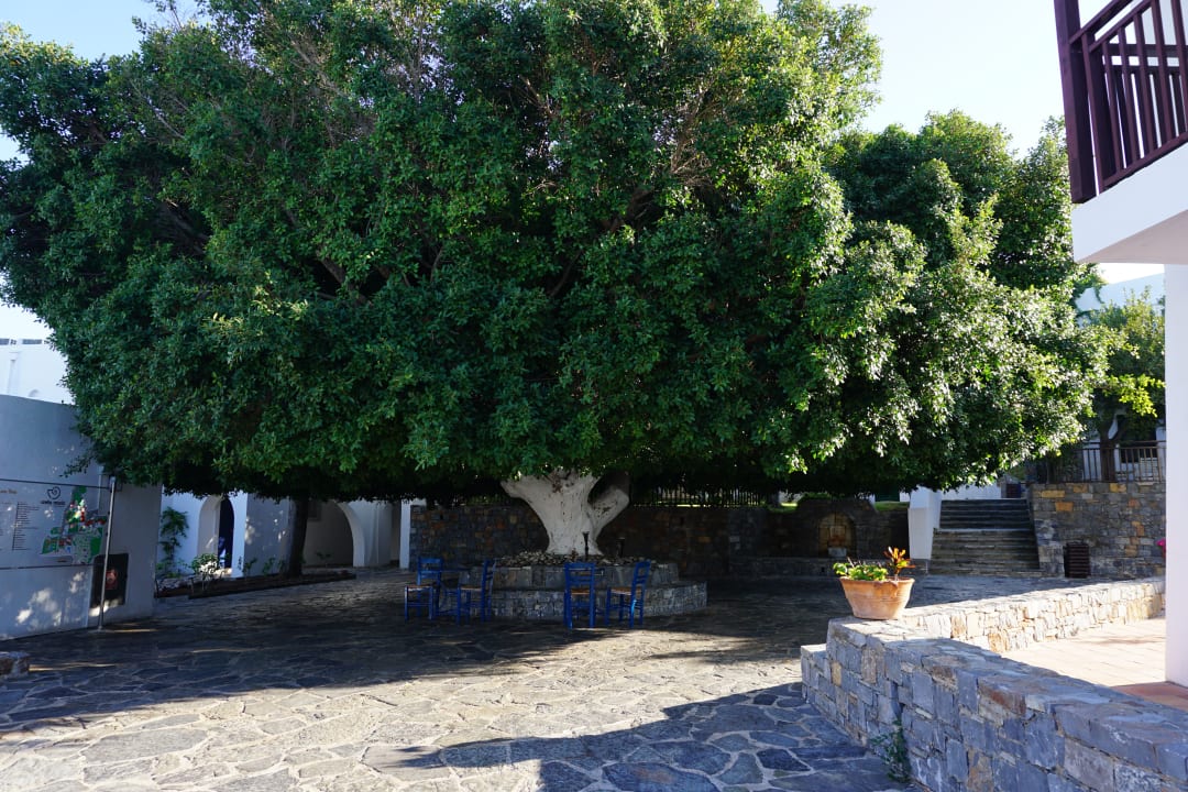 Gartenanlage Creta Maris Resort
