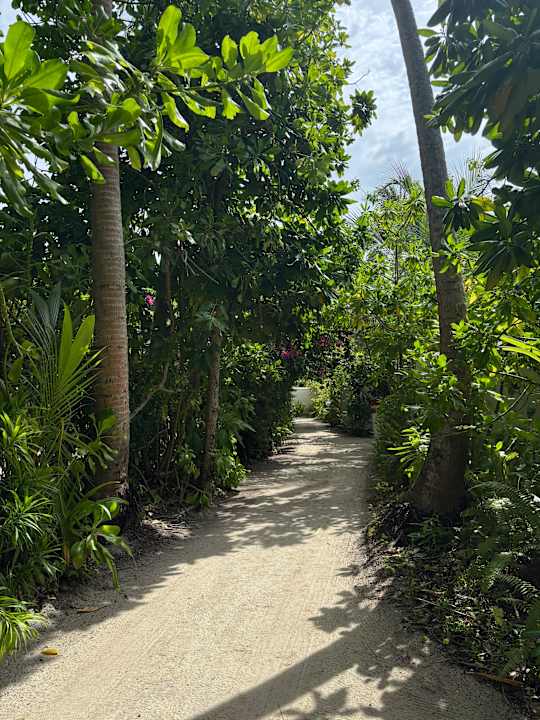 Gartenanlage Vilamendhoo Island Resort & Spa
