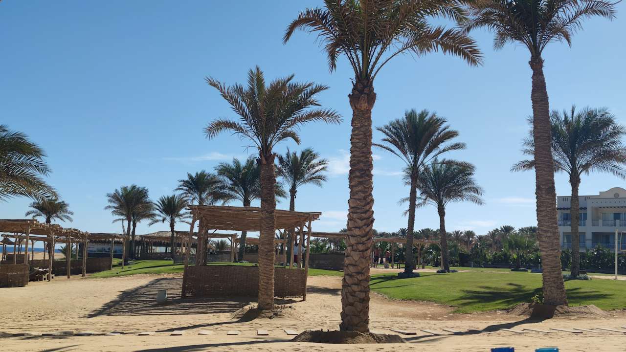 Strand Steigenberger Resort Alaya Marsa Alam - Red Sea - Adults only