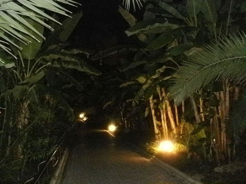 Bei Nacht Sealife Buket Resort & Beach