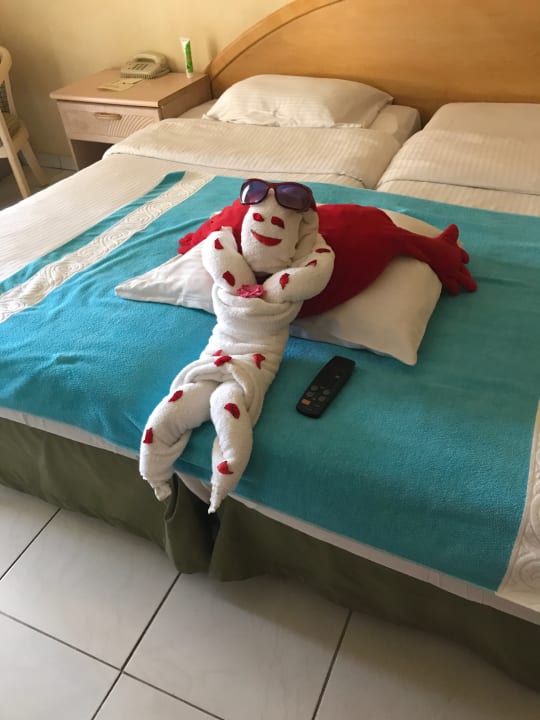 Zimmer Ghazala Gardens