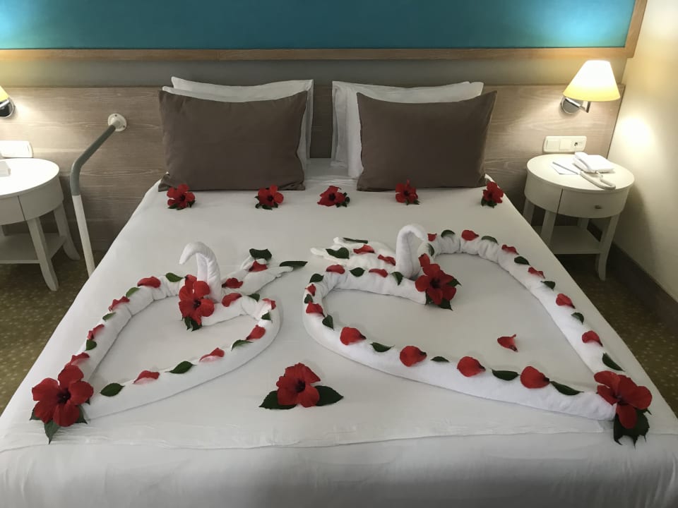 Zimmer Asteria Collection Side