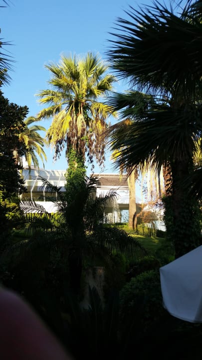 Garten Side Star Elegance