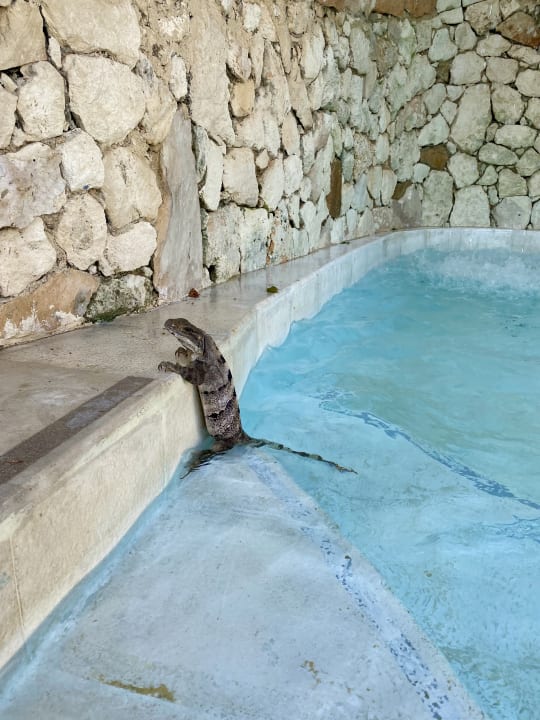 Pool Impression Isla Mujeres by Secrets - Adults Only