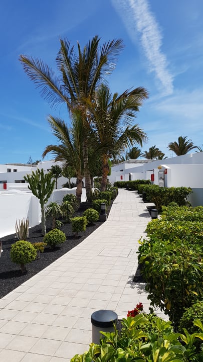 Gartenanlage Hotel Las Costas