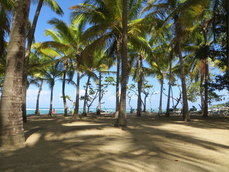 Hotelstrand Playabachata Hotel