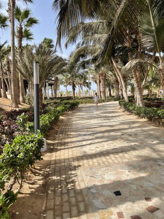 Gartenanlage Hotel Riu Cabo Verde