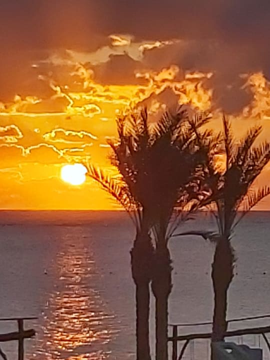 Ausblick Pickalbatros Villaggio Resort - Portofino