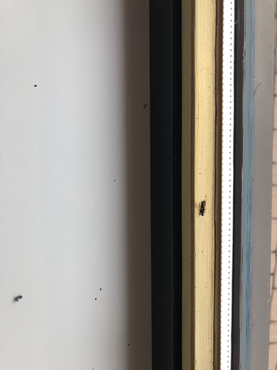 Zimmer Hotel Panorama Wellness & Spa by alpha