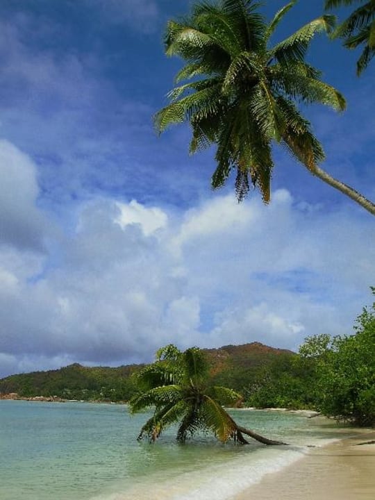 Anse Volbert L'Hirondelle Self Catering Guest House