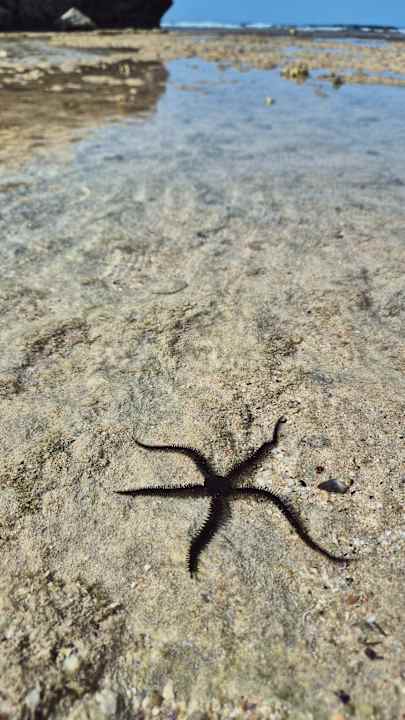 Strand Sentido Naga Bay