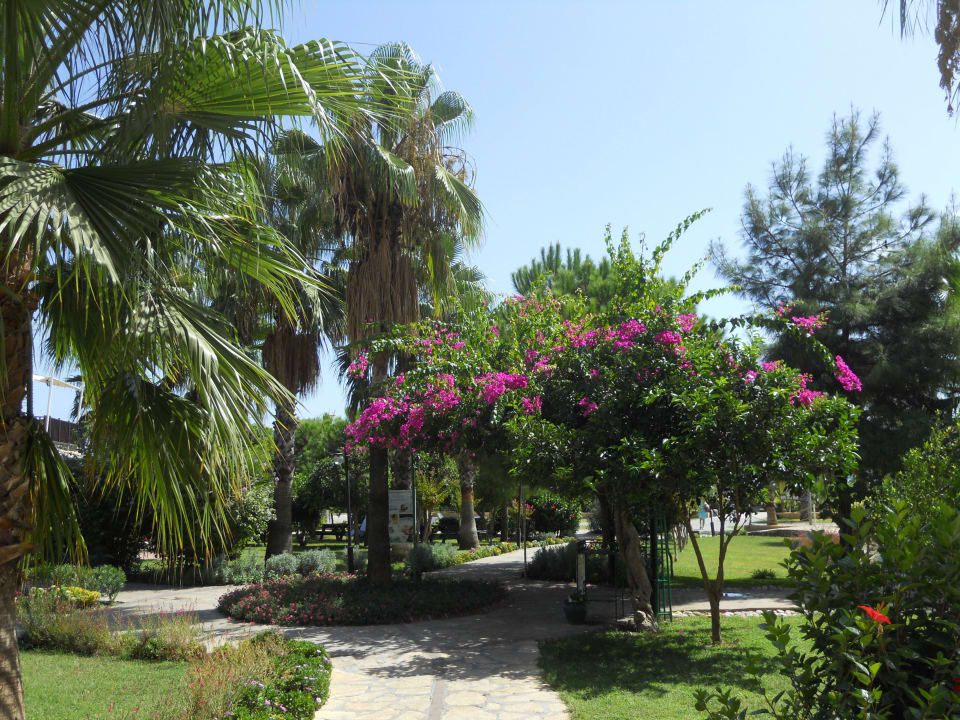 Blumenmeer im Garten Bella Resort & Spa