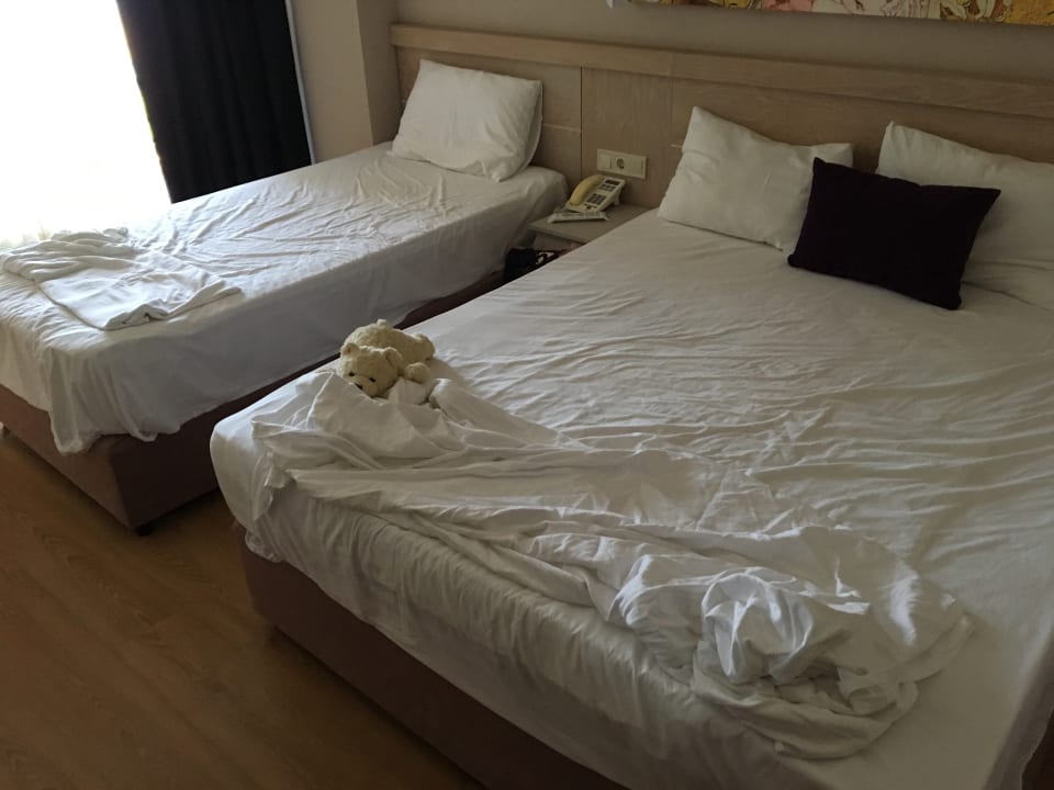 Zimmer Seaden Sea Planet Resort & Spa