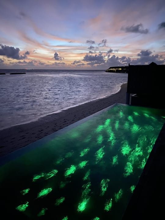 Zimmer Kuramathi Maldives