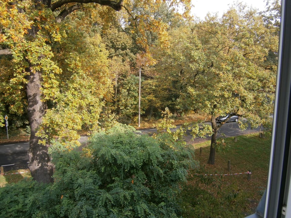 Blick auf die Strasse vor dem Hotel Wyndham Garden Potsdam