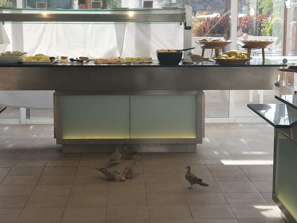 Gastro Fuerteventura Princess