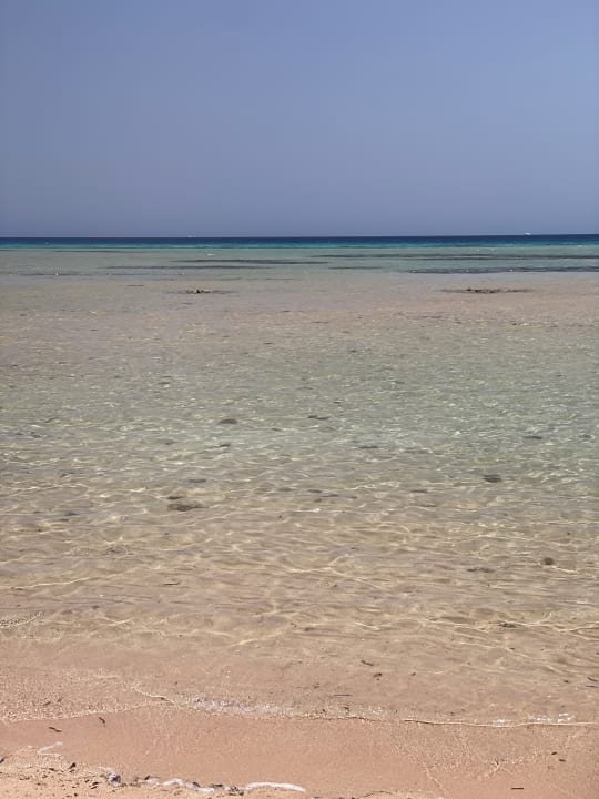 Strand Shams Prestige Abu Soma-Adults Only