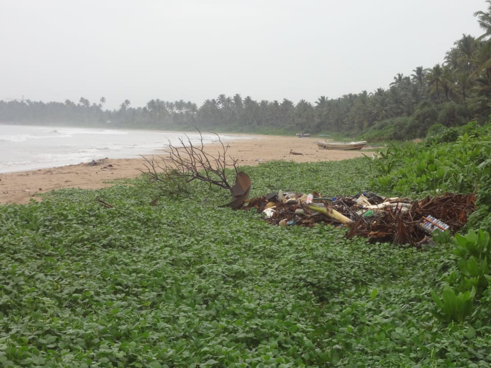 Müll am Hotelstrand Hotel Mandara Resort
