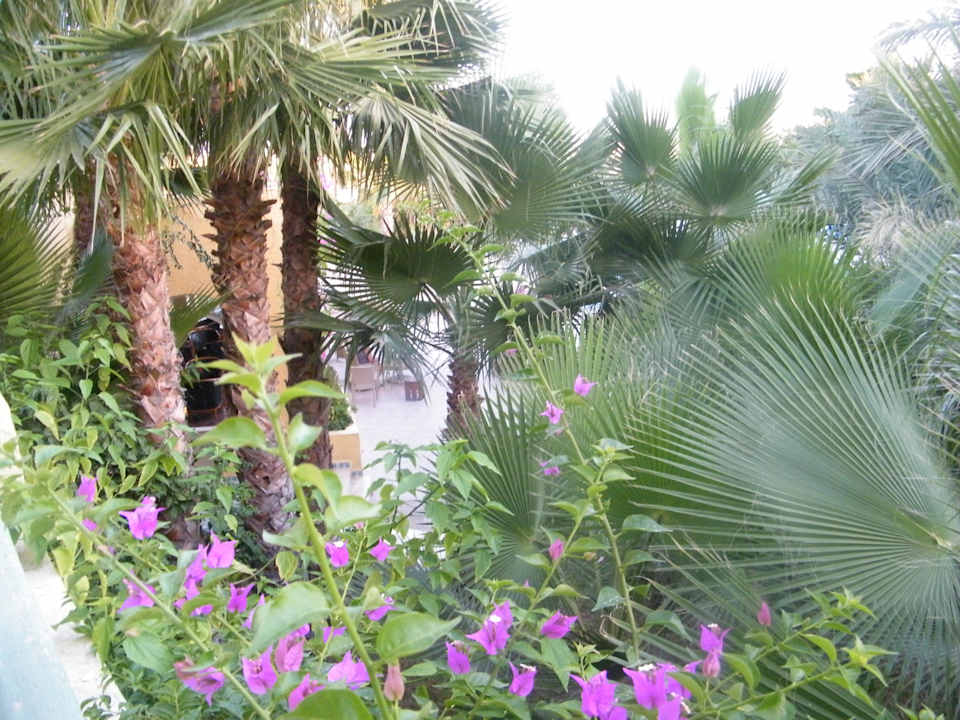 Vue du balcon de la chambre The Ksar Djerba Charming Hotel & SPA