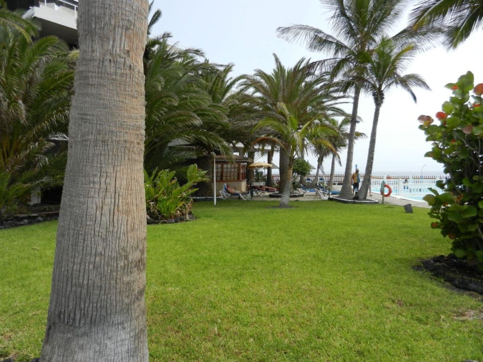 Ogród hotelowy. Melia La Palma Hotel