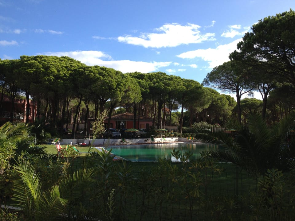 Pool mit Garten Hotel New Barcavela