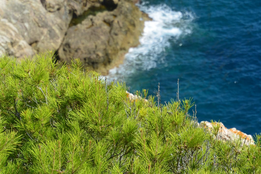 Ausblick R2 Lago Playa Park