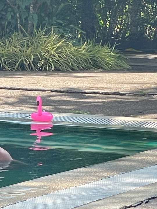 Pool Krabi Nature Beach Resort