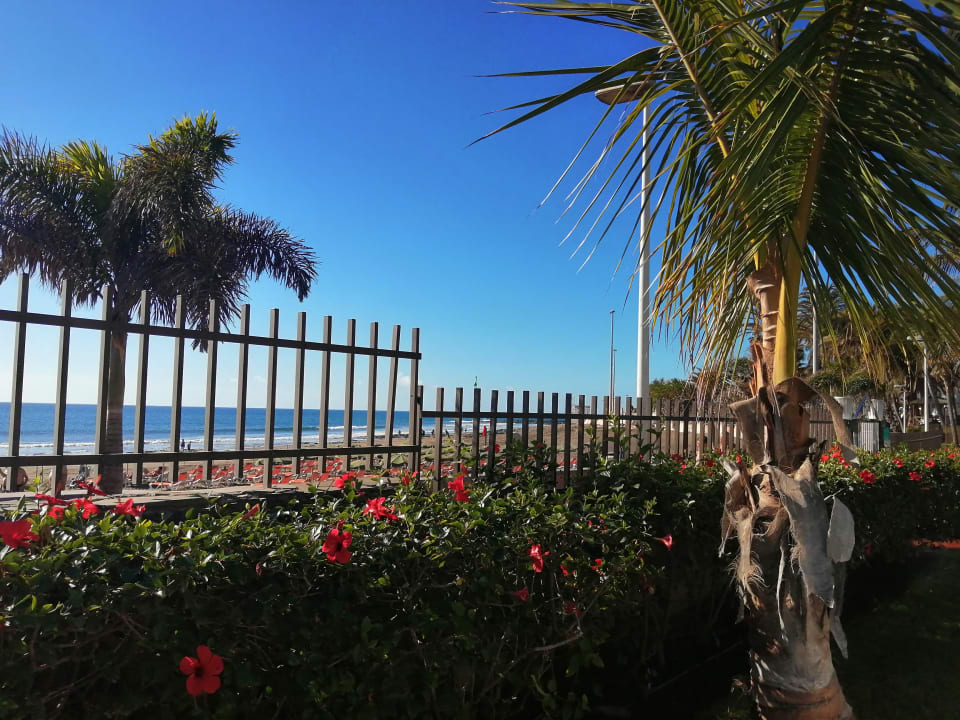 Ausblick Bull Costa Canaria & Spa - Adults only