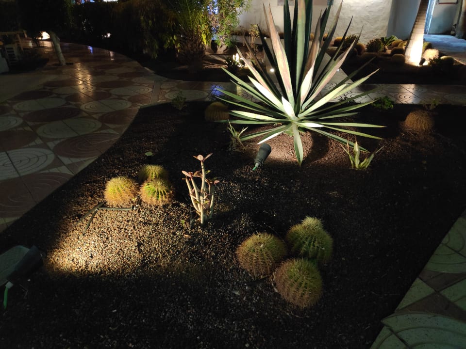 Gartenanlage Servatur Playa Bonita