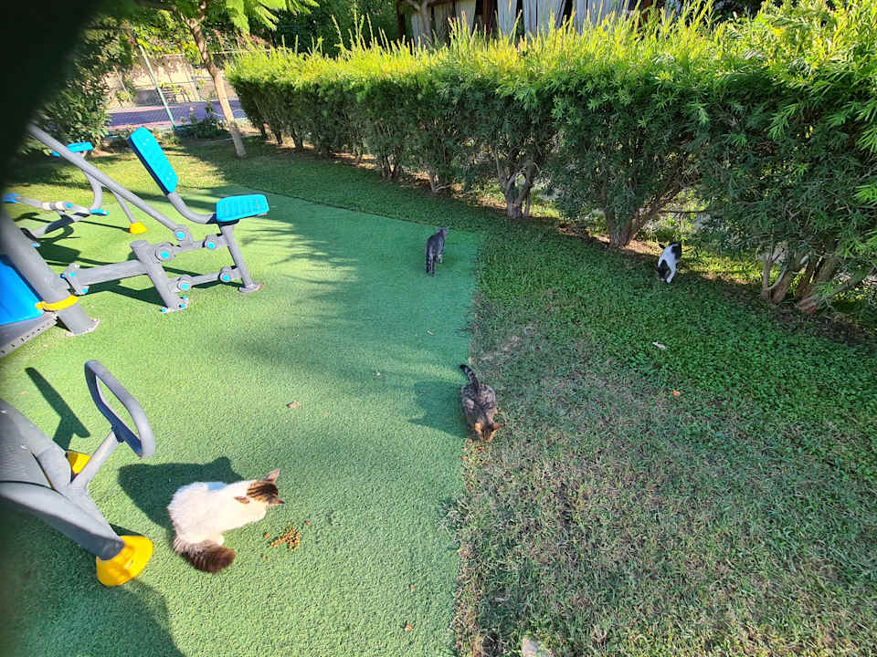 Gartenanlage Saphir Resort & Spa