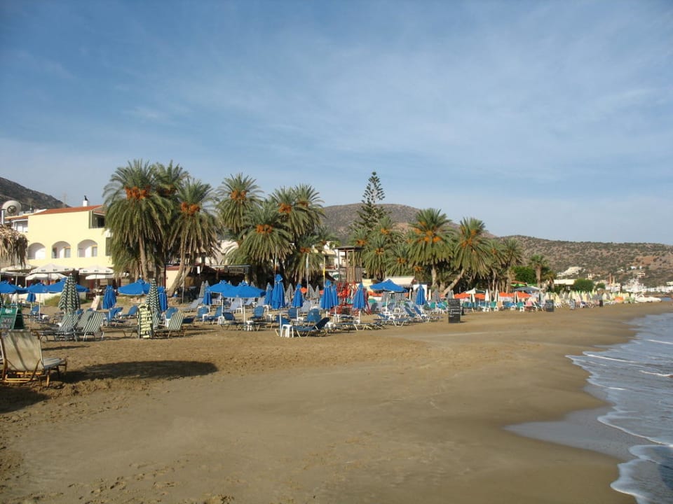 Пляж перед отелем Zeus Hotels Palm Beach