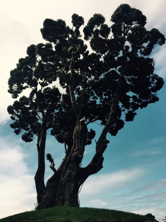 Sonstiges Pestana Bahia Praia Nature & Beach Resort