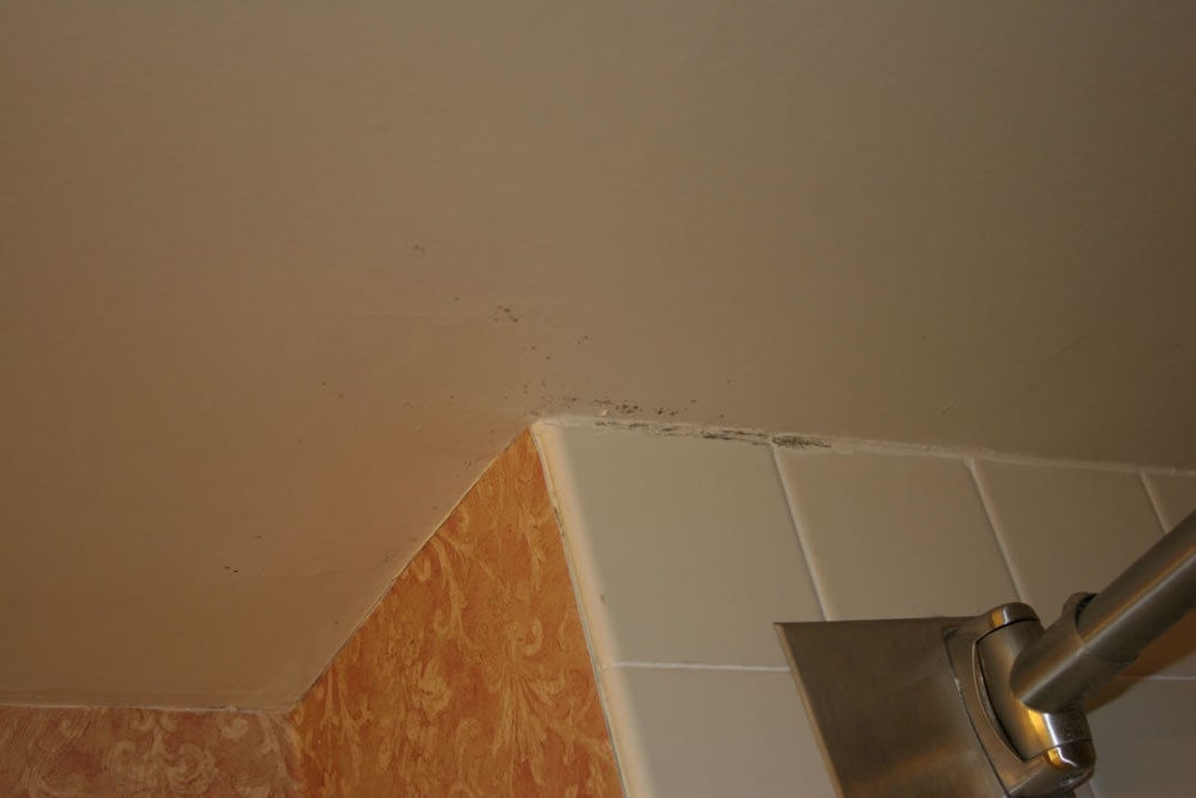 Decke im Badezimmer Hotel Wingate by Wyndham Convention Centre Closest Universal Orlando